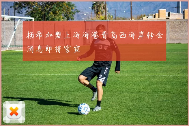 杨希加盟上海海港青岛西海岸转会消息即将官宣